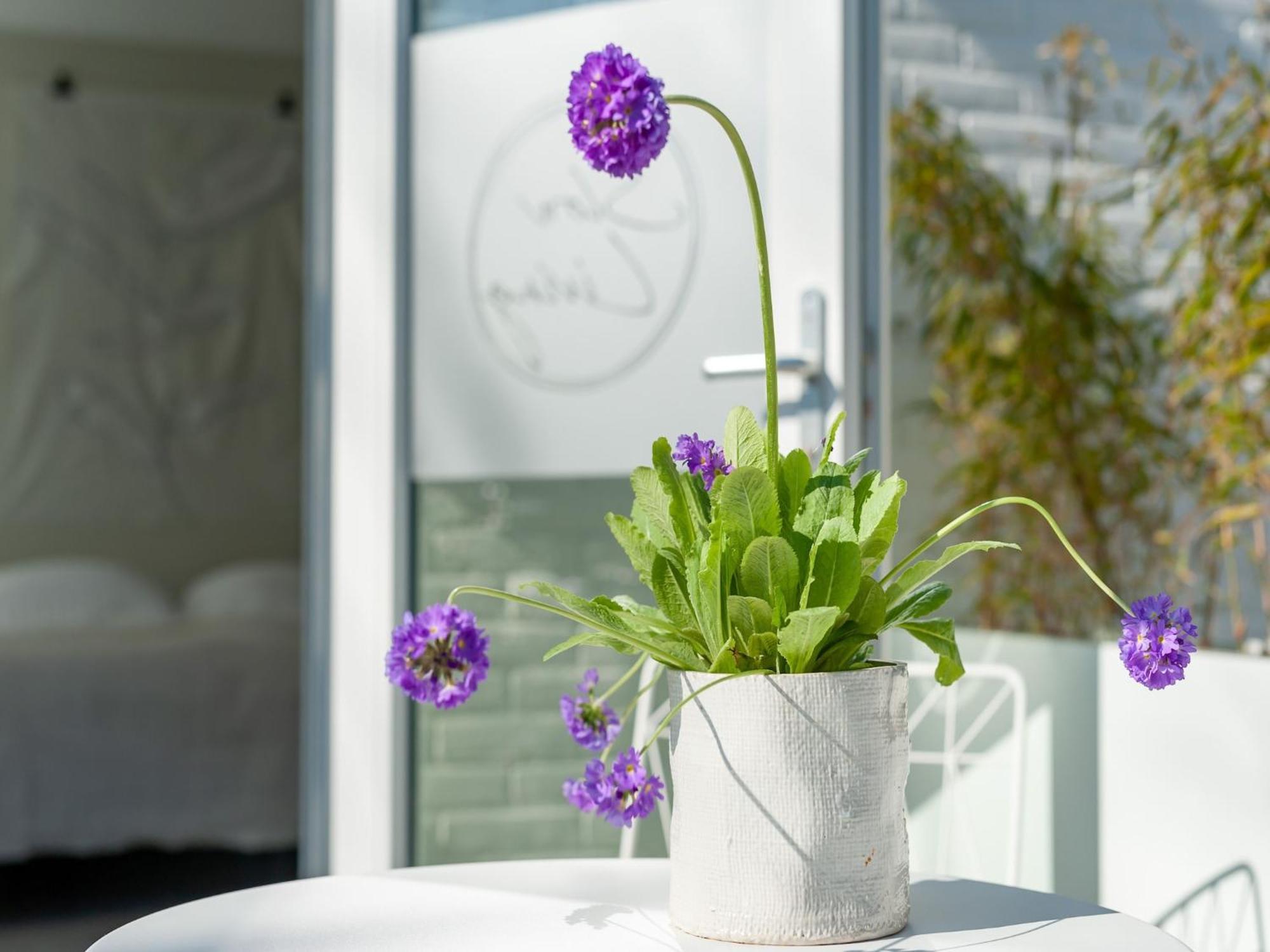 Pleasaing Holiday Home In Oostkapelle Near Centre Zewnętrze zdjęcie